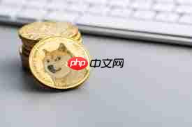 狗狗币是否值得投资